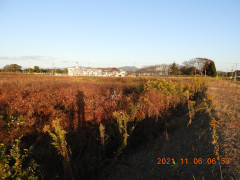 DSCN9982.JPG
