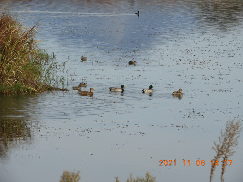DSCN0015.JPG