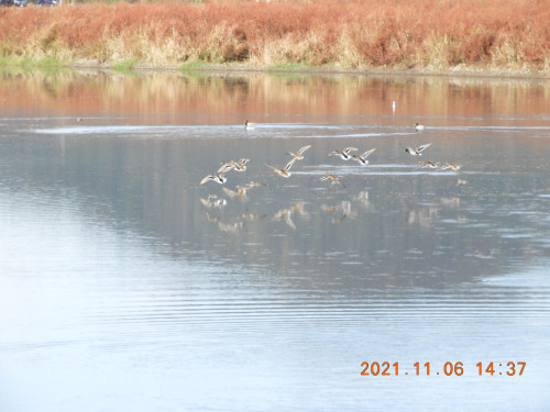 DSCN0019.JPG