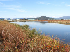 DSCN0021.JPG