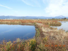 DSCN0022.JPG