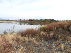 DSCN0023.JPG