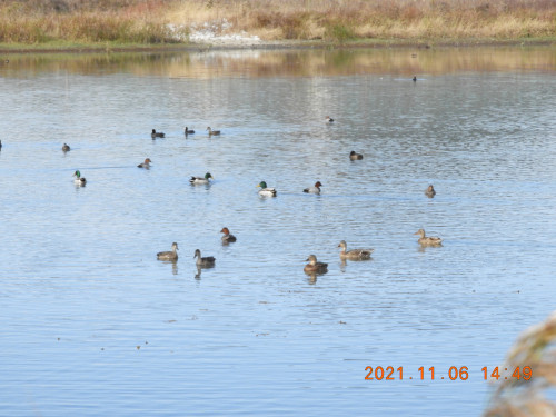 DSCN0037.JPG