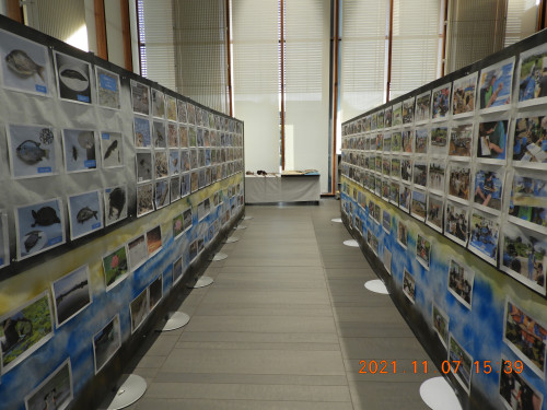 DSCN0046.JPG