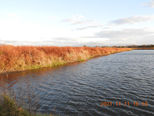 DSCN0035.JPG