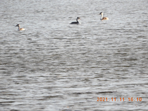 DSCN0024.JPG