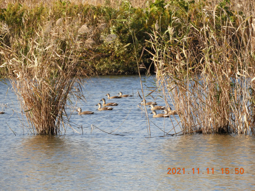 DSCN0008.JPG
