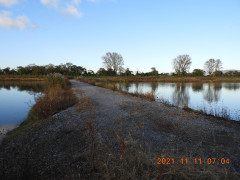 DSCN9993.JPG