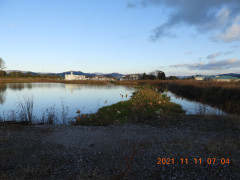 DSCN9994.JPG