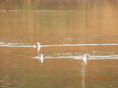 DSCN0006.JPG