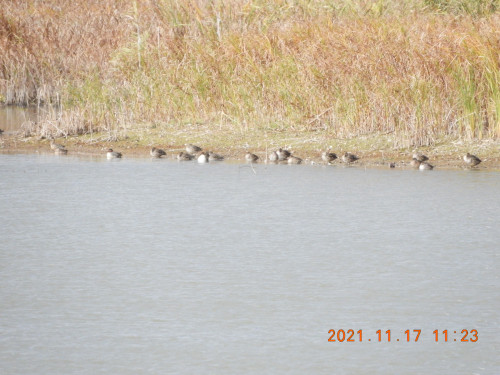 DSCN0009.JPG