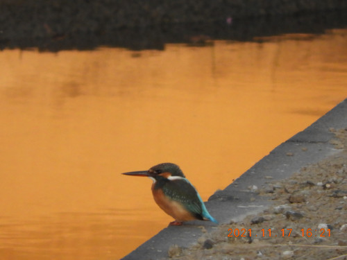 DSCN0033.JPG