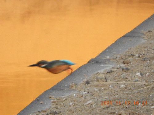 DSCN0034.JPG
