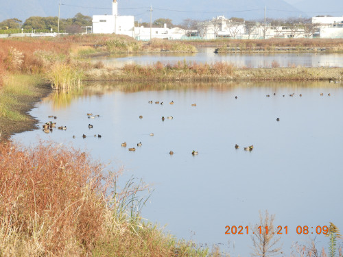 DSCN0001.JPG