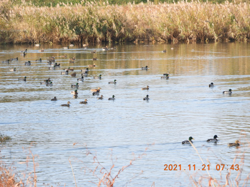 DSCN9980.JPG
