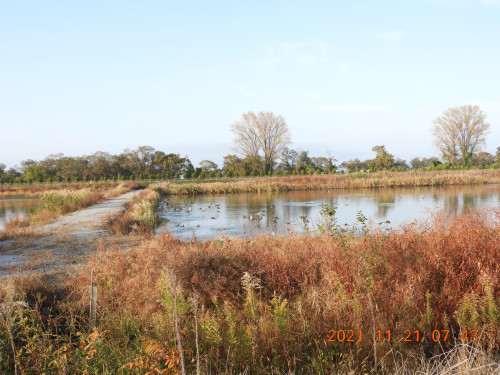 DSCN9979.JPG