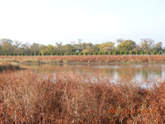 DSCN9995.JPG
