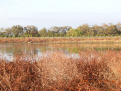 DSCN9996.JPG