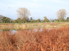 DSCN9997.JPG
