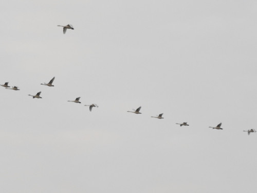 RSCN0141.JPG