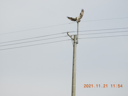 DSCN0037.JPG