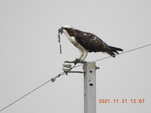DSCN0091.JPG