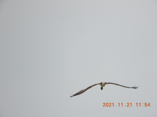 DSCN0034.JPG