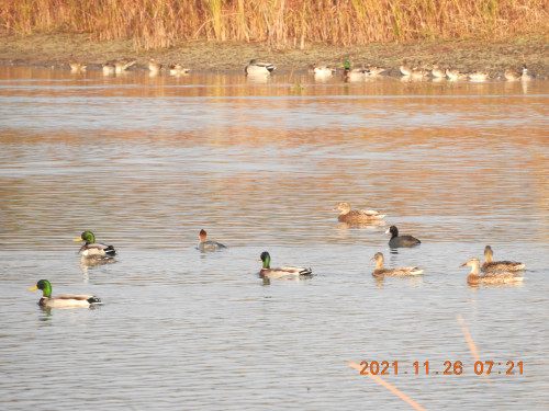DSCN0188.JPG