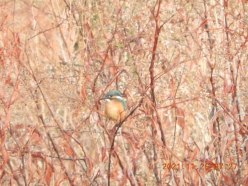 DSCN0200.JPG