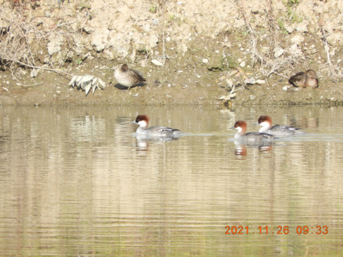 DSCN0220.JPG