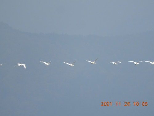 DSCN0244.JPG