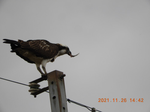 DSCN0313.JPG