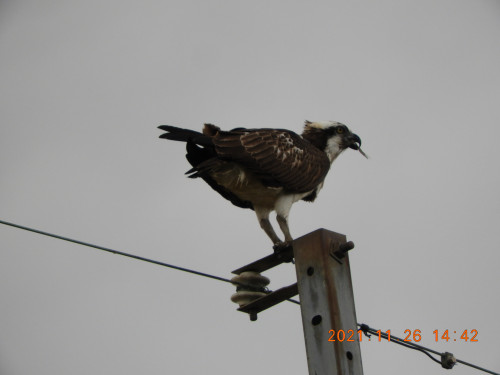 DSCN0314.JPG