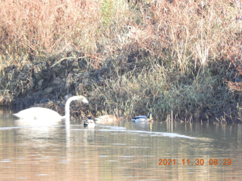 DSCN0389.JPG