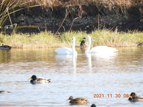 DSCN0412.JPG