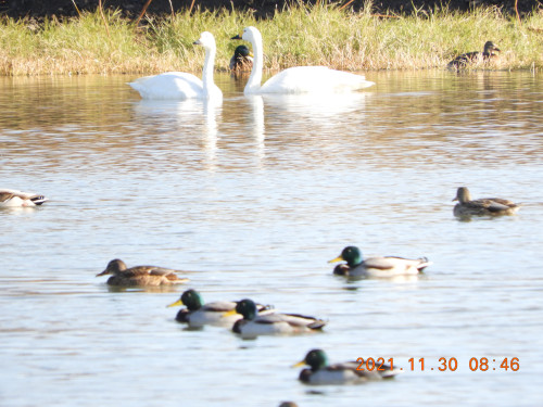 DSCN0413.JPG