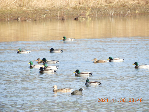 DSCN0418.JPG