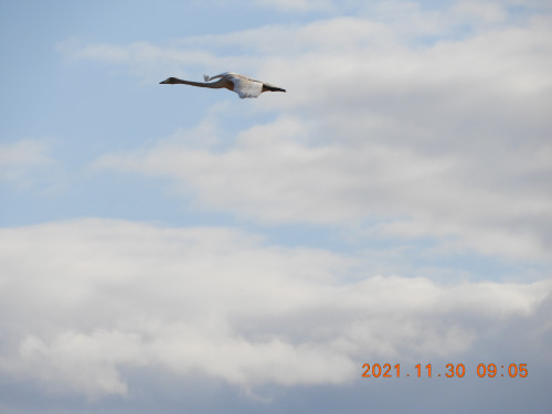 DSCN0425.JPG