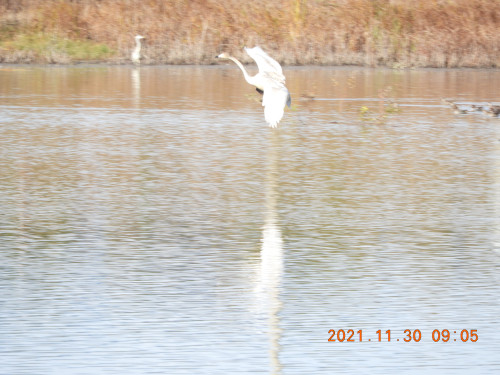 DSCN0429.JPG
