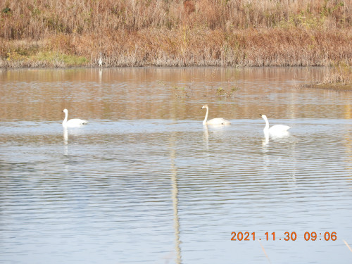 DSCN0435.JPG