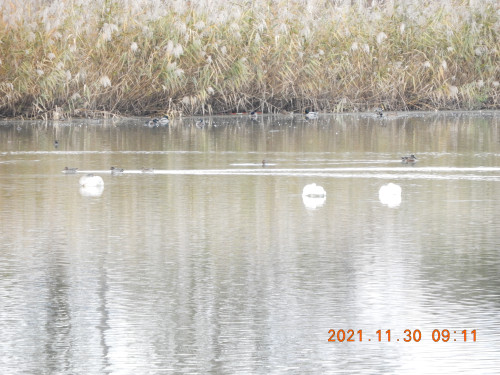 DSCN0438.JPG
