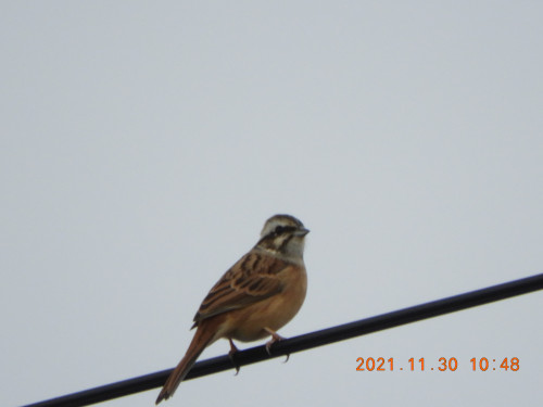 DSCN0452.JPG