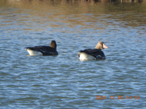 DSCN0497.JPG