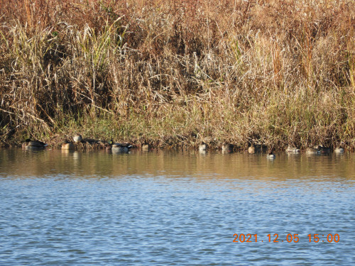 DSCN0506.JPG