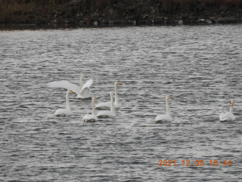 DSCN0507.JPG