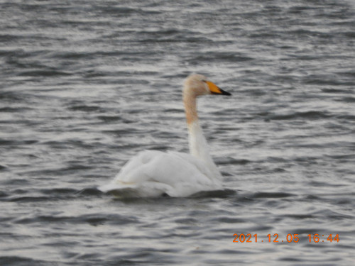 DSCN0510.JPG