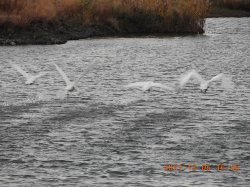 DSCN0514.JPG