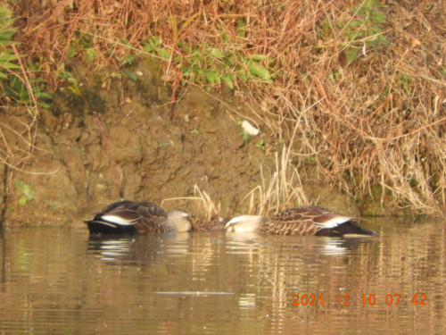 DSCN0588.JPG