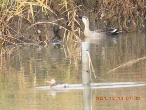 DSCN0585.JPG