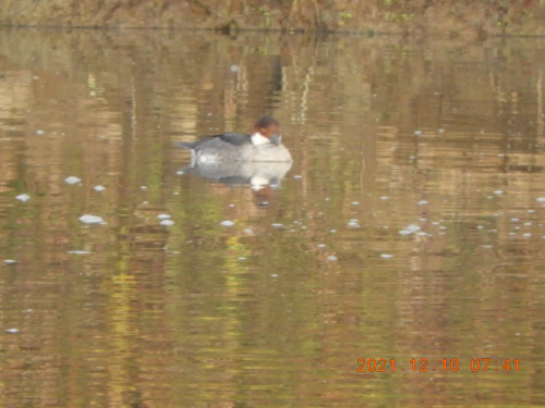 DSCN0587.JPG
